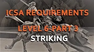 Combat Systema Level 6 Striking