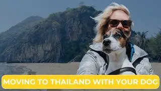 Moving to Thailand with your dog. Ultimate preparation checklist.