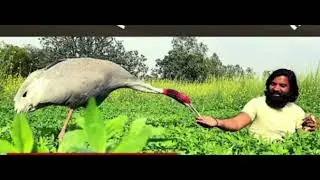 Arif aur Saras ki Dosti aur Judaai | Emotional Story | #Shorts#vairalshorts#vairalshort #arif