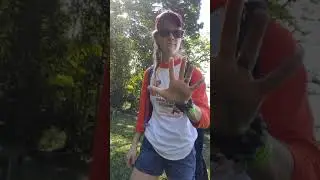 Top 3 Sloth Spotting Tips