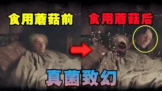 千万不要吃森林中来路不明的蘑菇！吃下它就会被真菌寄生！——【Mucorales】