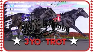 2025 Breeders Crown | Mushuggah |3CT