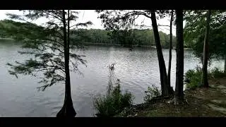Cheraw, South Carolina:  Cheraw State Park...