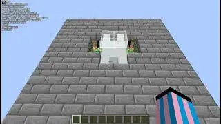 2x2 Deluxe Glass Trapdoor; Minecraft 1.16.5; Super small, Remake, Slow, Not Seamless