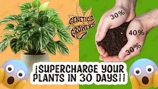 Make Your Plants EXPLODE with Growth Using This DIY SOIL MIX