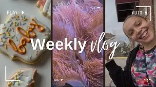 Weekly Vlog | homeschooling, baking & Trader Joe&rsquo;s haul