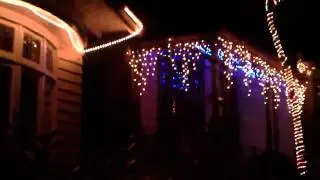 Franklin Road Lights & Telecom Tree - Ponsonby NZ