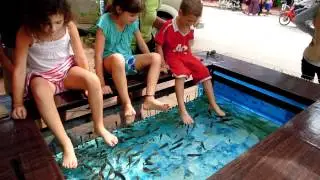 Fish Pedicure