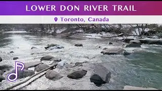 Relaxing Walk in Lower Don River Trail (Lower Don Trails)