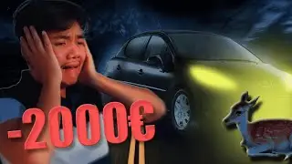 UNE BICHE CASSE MA VOITURE (ft. Skazcover)