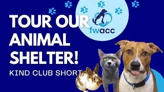KCS: What is Fort Wayne Animal Care & Control?