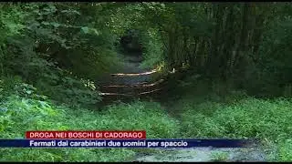 Etg - Droga nei boschi di Cadorago, fermati dai carabinieri due uomini per spaccio