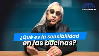 Conceptos Audio y Video: ¿Qué es la sensibilidad en un parlante o bocina?