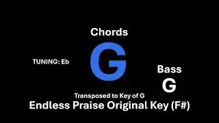 Endless Praise Original Key F# Chord Backing Track (Transposed to G)