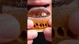 CRUNCH REALITY COLLAPSE 💥 | The Most Extreme Realistic ASMR Ever (12K)