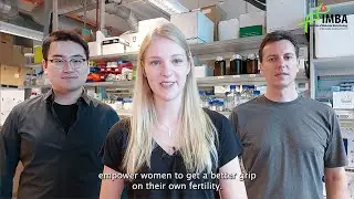 The beginning of life: The early embryo is in the driver's seat