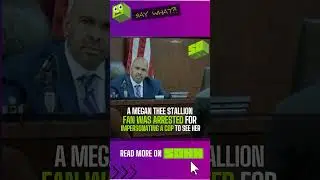 Megan Thee Stallion Fan Released On $20K Bond After Impersonating A Cop To See Rapper
