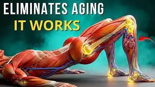 Over 60s: Stop Walking, These 5 Medical Exercises Do Much More for Your Body  | Senior Health Tips