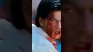 MASUK KE KANDANG MACAN DAN MENJINAKKANNYA | Alur Film : Chennai Express |