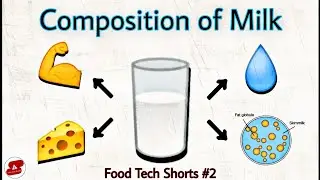 Composition of Milk 🥛 #shorts #foodtechshorts - Basics of Dairy Technology