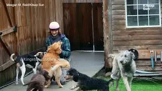 Wander & Forage Pet Shop supports global animal rescue effort