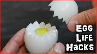 Egg Life Hacks
