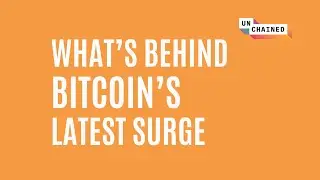 Decentral Park Capital&rsquo;s Kelly Ye on Bitcoin&rsquo;s Latest Surge