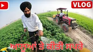 ਆਲੂਆਂ ਤੇ ਕਿਹੜੀ ਸਪਰੇ ਕੀਤੀ? 🌱 | Potato Spray Full Detail | Punjabi Farming Vlog