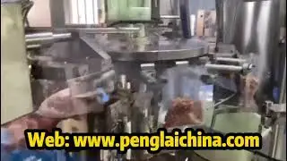 Peanut premade pouch filler sealer With multi-head weigher system rotary packing