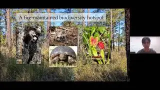 Kandlikar+Simha: Soil microbial effects on plant community response to fire in longleaf pine savanna
