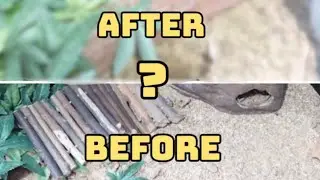 TANK MAKEOVER!? //vlog 2// Kyra&rsquo;s zoo