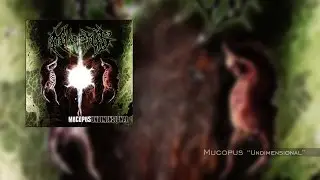 Mucopus 