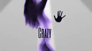 Crazy (Shaun Millian)