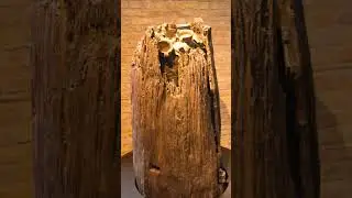 Over 3000 years old, the mysterious Opferbrunnen found in Berlin-Lichterfelde, Germany