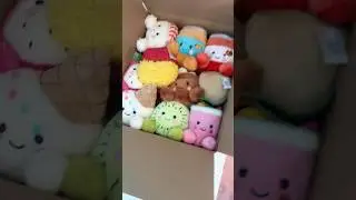 Bday palm pal haul!!💖 #palmpals #cute #plushies #addicted #collection #more @palmpals.official.