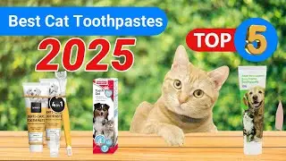 Top 5 Best Cat Toothpastes of 2025