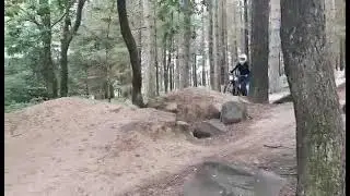 peatys steel city dh