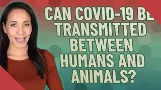 Can COVID-19 be transmitted between humans and animals?