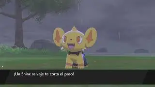 Shiny Shinx in Pok&eacute;mon Sword and Shield!!!