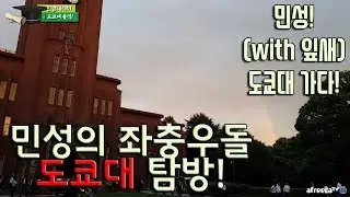 [bj민성] 좌충우돌 도쿄대 탐방, 도쿄대생의 생각은? 그리고 도쿄대 소개 韓国人の東京大学行く