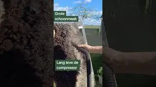 Schapenvacht schoonmaken