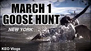 March Goose Hunting Opener 2019