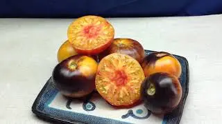Alice's Dream Tomato With Darker Antho