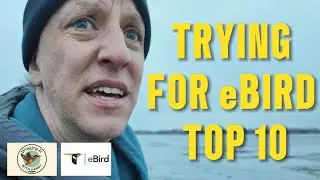 Trying for eBird Top 10