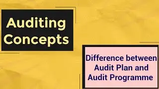Difference between Audit Plan and Audit Programme | Auditing Concepts