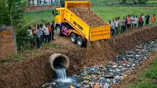 First Start Wonderful Project ! Landfill Flooded Pond By Dozer Pushing Soil With Dump Truck 5Ton