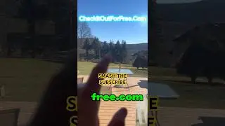 Make Money Online INSTANT Cash APP Affiliate Marketing Commissions #shorts