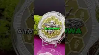 Popular ounce coins for sale quickly