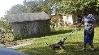 Bite work week 2 | TUG OF WAR