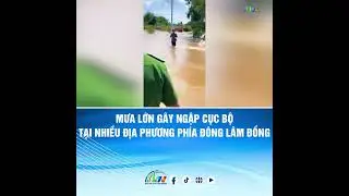 MƯA LỚN G&Acirc;Y NGẬP CỤC BỘ TẠI NHIỀU ĐỊA PHƯƠNG PH&Iacute;A Đ&Ocirc;NG L&Acirc;M ĐỒNG | B&Aacute;O V&Agrave; PTTH L&Acirc;M ĐỒNG
